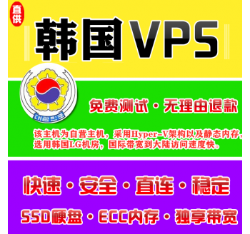 韩国VPS机房4096M国外，垂直搜索引擎有哪些软件